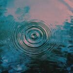Ripples from drop on surface of water